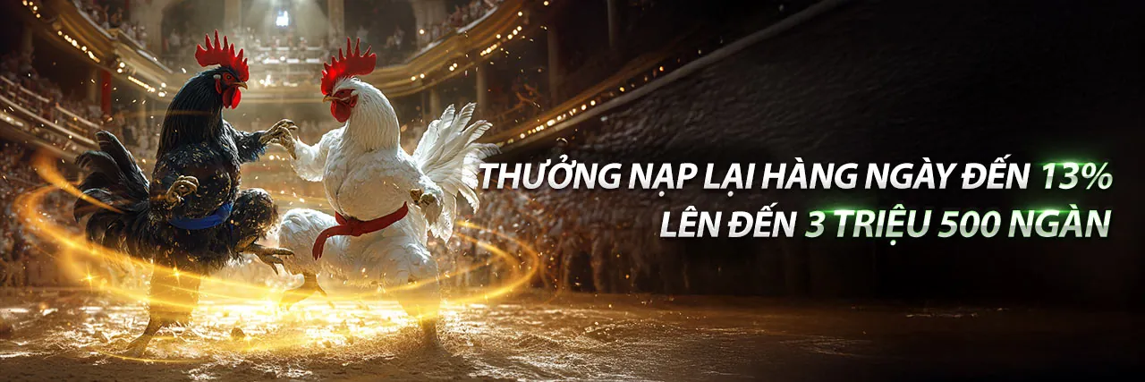 Đá gà trực tuyến sôi động tại bet666 nhà cái